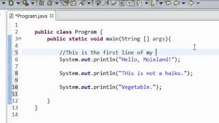 Java Whitespace & Comments