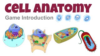 Cell Anatomy Game Introduction