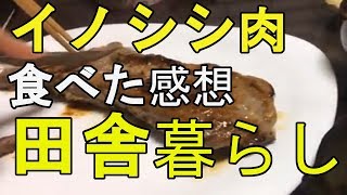 【シビエ料理】イノシシ肉を味噌漬けにして熟成して食べた感想　宮崎県日南地方のイノシシ