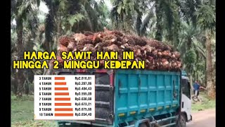 HARGA SAWIT HARI INI, PERIODE 25 DESEMBER 2024 - 7 JANUARI 2025