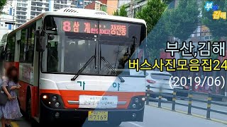 (부산,김해)버스사진모음집24