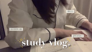 [vlog] 예비 고3의 2학년 마지막 시험 준비 브이로그 / 07 브이로그 / 공부 브이로그 / study vlog