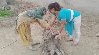 Today Hard wood working _Desi House wife routine _ Desi bhabhi life