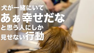 犬が一緒にいて幸せだなと思う人にしか見せない行動