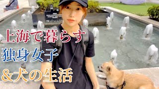 【休日ルーティン】犬と暮らす上海在住独身女子の1日