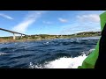 rib safari in the legendary saltstraumen the worlds strongest maelstrom whirlpool tidal current