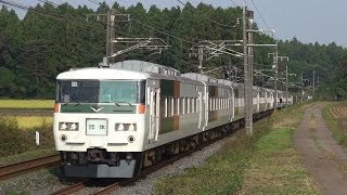 185系大宮車の団臨と、日光集約臨。（宇都宮線、日光線）