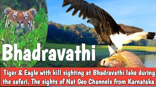 Bhadra Tiger Reserve on the Banks of Bhadravathi | #bhadra