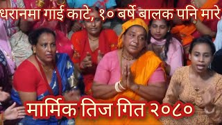 धरानमा गाई काटे, १० वर्षे बालक पनि मारे । New teej geet 2080 # तिज गित २०८०