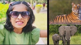 Siddharth Garden Zoo Aurangabad | Snack Tiger Rabbit -Home | Asmi \u0026 Vansh's Zoo Visit #aurangabad