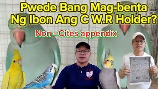 Pwede Bang Mag-benta Ng Ibon Ang C.W.R Holder? (Endangered species) #buhaymagiibon