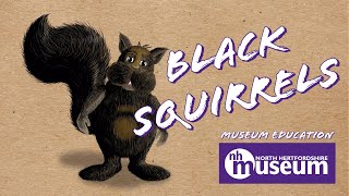 Black Squirrels - Museum Education