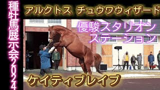 アルクトス ケイティブレイブ チュウワウィザード 優駿スタリオンステーション 種牡馬展示会2024