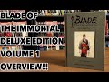 Blade of the Immortal Deluxe Overview