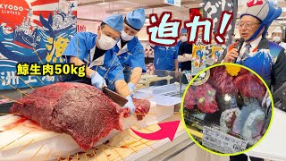 ニタリ鯨生肉のさばきショー！50kgのクジラが松屋銀座に登場（販売会リポート） Whale Dismantling for Sushi etc. The Amazing Cutting Show !!