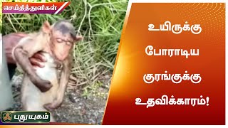 உயிருக்கு போராடிய குரங்குக்கு உதவிக்காரம் | செய்தித் துளிகள்| PuthuyugamTV |