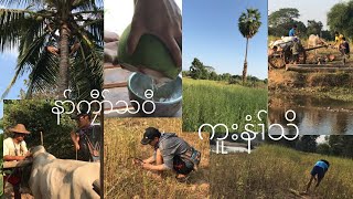 Karen village: Na Kyawt နာ်ကၠီာ်