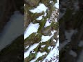 the sound of stepping on snow in the japanese