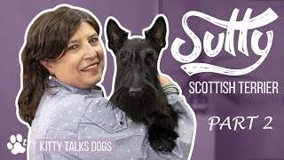 Grooming Sully the Scottish Terrier - part 2 | Kitty Talks Dogs - TRANSGROOM