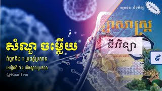 #សំណួចម្លើយ​ #ជីវវិទ្យាថ្នាក់ទី៩ | #ជំពូកទី១៖រស្មីសំយោគ | មេរៀនទី៦ ៖​ #បរិមណ្ឌលប្រសាទ