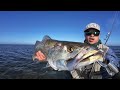 smashing topwater lures in shallow water