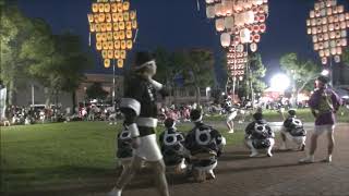 Ｒ１がいな万灯前夜祭（県庁万灯部）その２