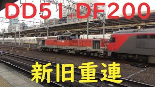 【新旧のディーゼル機関車の重連！！！DD51とDF200重連】dd51 貨物 dd51 関西本線 df200 関西本線 df200 愛知