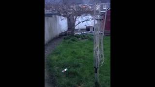 Epic garden explosion