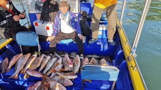 【香港釣魚】《外海青斑牙點釣到手軟》