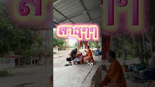 ทำบุญกับคนไม่ขึ้น ลองให้อาหารสัตว์ น้องหมาวัดแมววัด สุนัขจรจัดพลัดถิ่น มันจะดีนะ