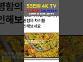 2025년 가성비 55인치 tv 추천｜lg 4k uhd led tv 신혼부부 필수템 거실