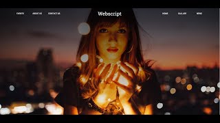 Animated Responsive Sticky Navbar using HTML 5, CSS 3 and jQuery - 1