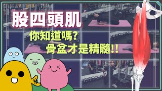 【靜態伸展系列】股四頭肌 ◆ 膝蓋周圍不舒服？試試這個吧 │體殼運動防護