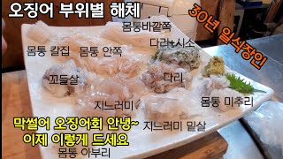 오징어 부위별 오마카세 보시죠! 이제 막썰어 오징어회는 안녕~