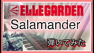 【ピアノ】ELLEGARDEN「Salamander」を弾いてみた