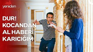 Hanımcılığa Giriş #16: Havada Uçan Şekercizade Görüldü - Aşk Yeniden