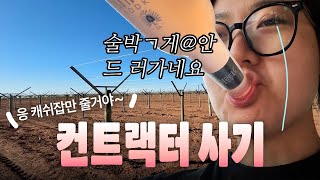 [🇦🇺호주워홀] 컨트랙터 믿고 지역이동 했더니 캐쉬잡만 준 썰 푼다 / 베트남 하메들과 싱나는 파티파티 / 밀두라 지역이동