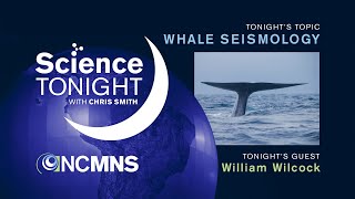 Science Tonight: Whale Seismology