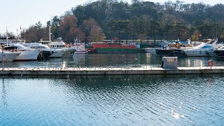 İstinye Sahili | Deniz Sesi | Dinlendirici | Kış Güneşi | İstanbul Boğazı | Martı Sesleri | 4K