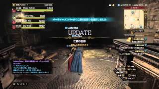 【DDON】GMまで色々やる