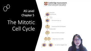 Chapter 5.1a - Terminologies and Chromosome Structure | Cambridge A-Level 9700 Biology