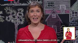 AprendoTV 2021 - 3° y 4° básico - Capítulo 08: El patio de la casa