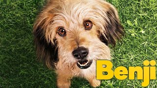 Benji 2018 Film | Gabriel Bateman, Darby Camp | Review