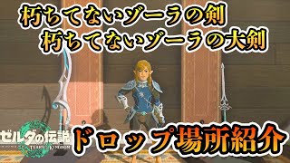 朽ちてないゾーラの剣とゾーラの大剣のドロップ場所紹介【ゼルダの伝説 ティアーズ オブ ザ キングダム】