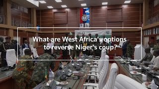 What are West Africa's options to reverse Niger's coup?