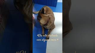 #Ela está  chateada com alguma coisa #