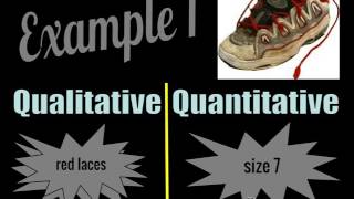 Qualitative vs Quantitative