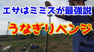 【うなぎリベンジ釣行】最強エサのミミズで今度こそ釣る