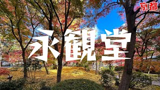 京都でオススメの絶景スポット永観堂 | 紅葉鑑賞 | 飲食店情報