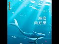 055第二十五章印度洋1.3 海底两万里